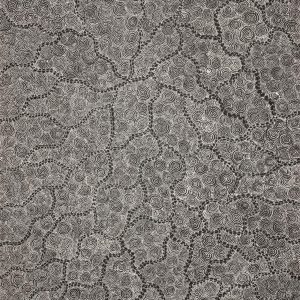 Ngapa Jukurrpa (Water Dreaming)  - Mikanji by Lola Nampijinpa Brown