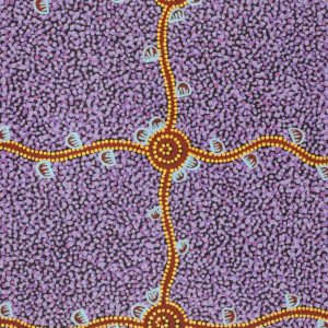 Wardapi Jukurrpa (Goanna Dreaming) - Yarripilangu by Melissa Napangardi Williams