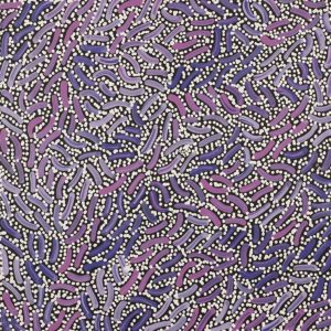 Warlukurlangu Jukurrpa (Fire country Dreaming) by Nathania Nangala Granites