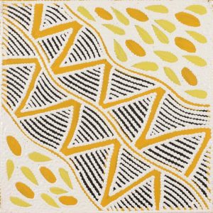 Pikilyi Jukurrpa (Vaughan Springs Dreaming) by Ursula Napangardi Hudson