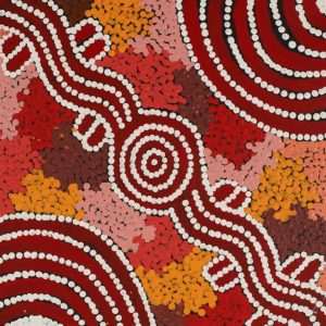 Ngapa Jukurrpa (Water Dreaming)  -  Puyurru by Lynette Nampijinpa Granites