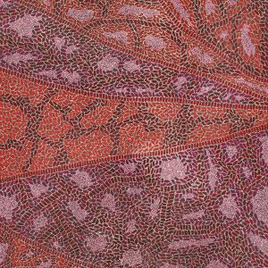 Warlukurlangu Jukurrpa (Fire country Dreaming) by Nathania Nangala Granites