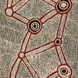 Ngapa Jukurrpa (Water Dreaming)  -  Puyurru by Shane Jampijinpa Brown