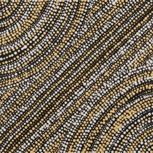 Mina Mina Jukurrpa (Mina Mina Dreaming) by Sabrina Napangardi Granites