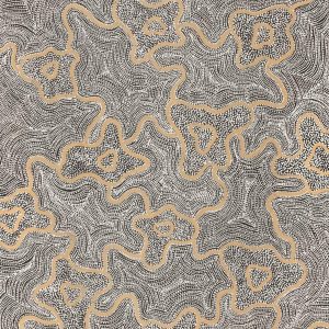 Ngapa Jukurrpa (Water Dreaming)  -  Puyurru by Chantelle Nampijinpa Robertson