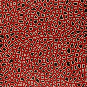Ngapa Jukurrpa (Water Dreaming)  -  Puyurru by Delores Nangala Robertson