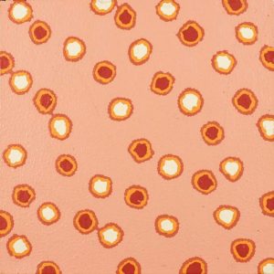 Mina Mina Jukurrpa (Mina Mina Dreaming) by Antoinette Napanangka Brown