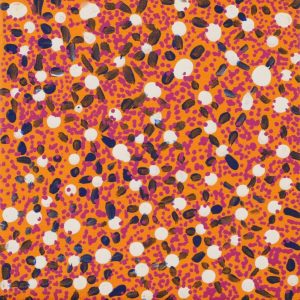 Wardapi Jukurrpa (Goanna Dreaming) - Yarripilangu by Warlukurlangu Artists