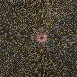 Warlukurlangu Jukurrpa (Fire country Dreaming) by Jacinta Nampijinpa Dixon