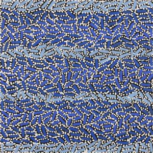 Warlukurlangu Jukurrpa (Fire country Dreaming) by Nathania Nangala Granites