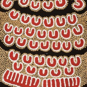 Karnta Jukurrpa (Womens Dreaming) by Sharelle Napangardi Dixon