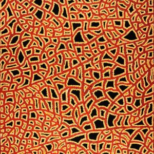 Ngapa Jukurrpa (Water Dreaming)  -  Puyurru by Delores Nangala Robertson