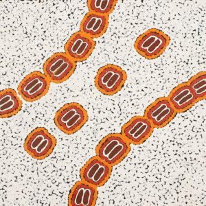 Pamapardu Jukurrpa (Flying Ant Dreaming) - Warntungurru by Mickaela Napangardi Lankin