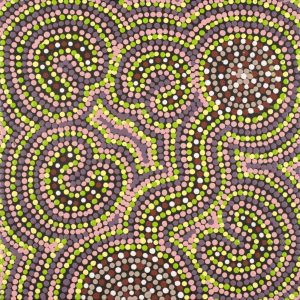Karnta Jukurrpa (Womens Dreaming) by Lyn Nungarrayi Sims