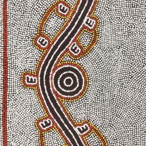 Janganpa Jukurrpa (Brush-tail Possum Dreaming)-  Mawurrji by Kara Napangardi Ross