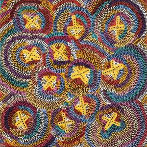 Ngatijirri Jukurrpa (Budgerigar Dreaming) by Kershini Napaljarri Collins