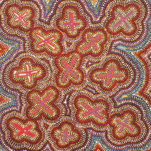 Ngatijirri Jukurrpa (Budgerigar Dreaming) by Kershini Napaljarri Collins
