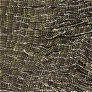 Mina Mina Jukurrpa (Mina Mina Dreaming) by Sabrina Napangardi Granites