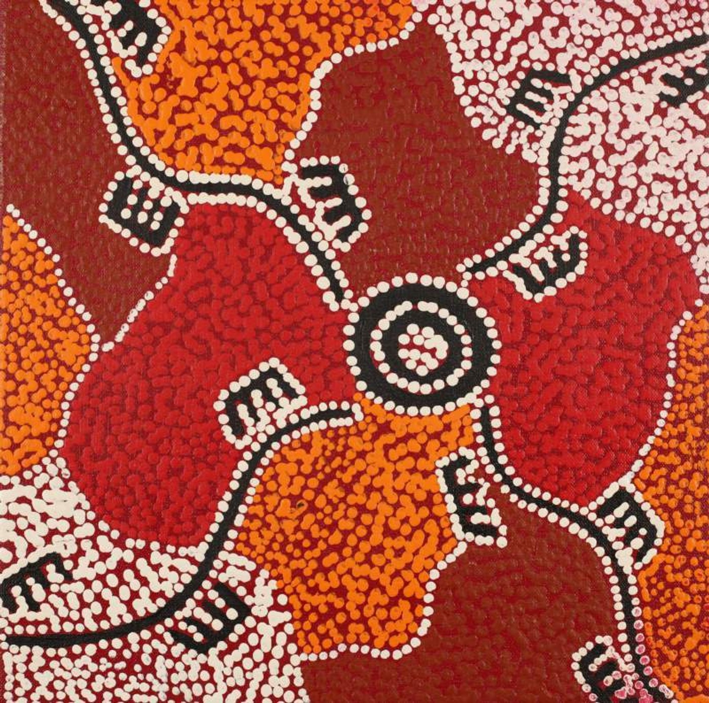 Wardapi Jukurrpa (Goanna Dreaming) - Yarripilangu by Sebastian Japanangka Williams