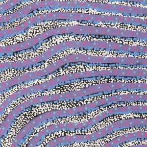 Wanakiji Jukurrpa (Bush Tomato Dreaming) by Teranie Nangala Williams