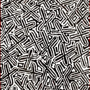 Ngatijirri Jukurrpa (Budgerigar Dreaming) by Kenneth Jungarrayi Martin