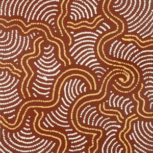 Ngapa Jukurrpa (Water Dreaming)  - Mikanji by Julie Napaljarri Dempsey