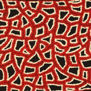 Ngapa Jukurrpa (Water Dreaming) - Wapurtali by Delores Nangala Robertson