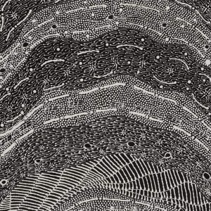 Pikilyi Jukurrpa (Vaughan Springs Dreaming) by Mary Napangardi Butcher