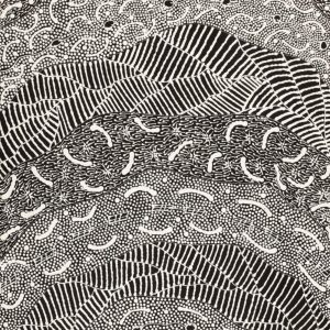Pikilyi Jukurrpa (Vaughan Springs Dreaming) by Mary Napangardi Butcher