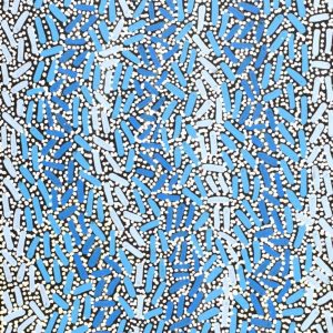 Warlukurlangu Jukurrpa (Fire country Dreaming) by Nathania Nangala Granites