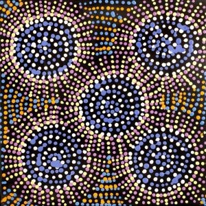 Jintiparnta Jukurrpa (Desert Truffle Dreaming) - Mina Mina by Tina Napangardi Martin