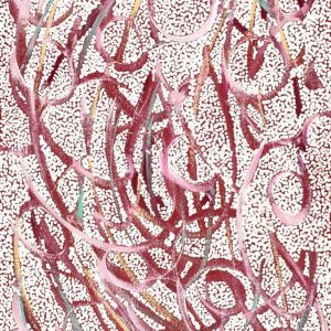 Cherylyn Napangardi Granites by Cherylyn Napangardi Granites