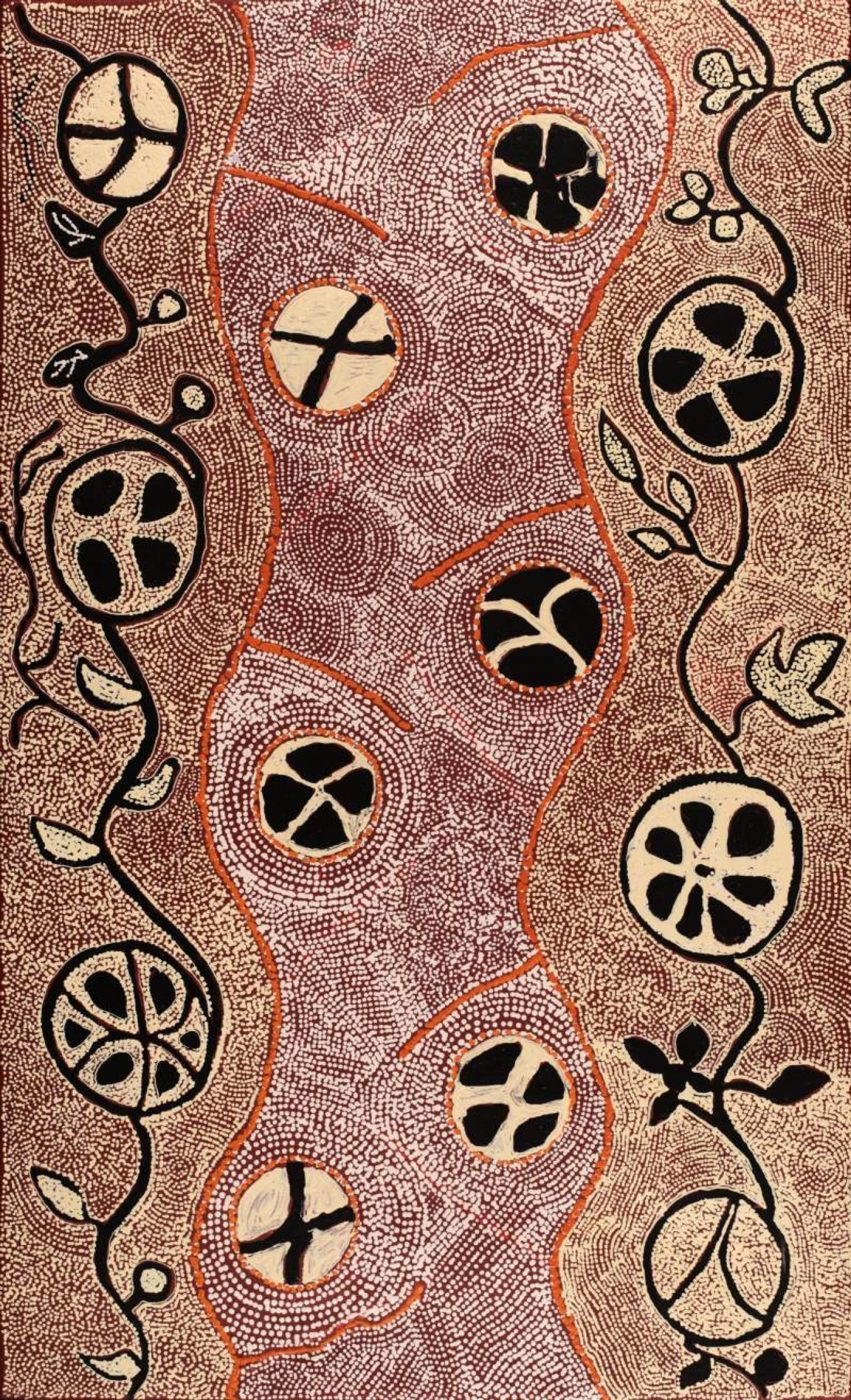 Wanakiji Jukurrpa (Bush Tomato Dreaming) by Selma Napanangka Tasman