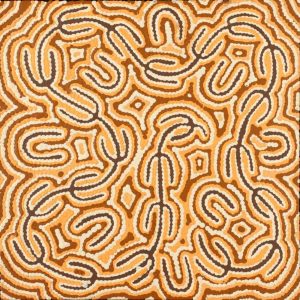 Majardi Jukurrpa (Hairstring Belt/Skirt or Tassel Dreaming) - Mina Mina by Madeleine Napangardi Dixon