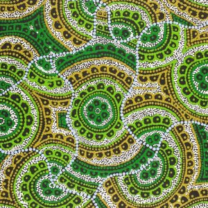 Ngalyipi Jukurrpa (Snakevine Dreaming) - Mina Mina by Kirsty Anne Napanangka Martin