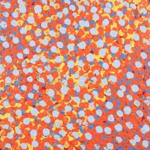 Wardapi Jukurrpa (Goanna Dreaming) - Yarripilangu by Ruth Nungarrayi Spencer