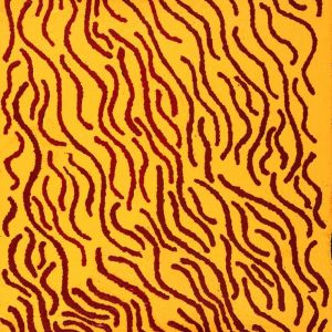 Ngapa Jukurrpa (Water Dreaming)  -  Puyurru by Agnes Nampijinpa Fry