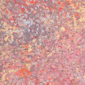 Wardapi Jukurrpa (Goanna Dreaming) - Yarripilangu by Ruth Nungarrayi Spencer