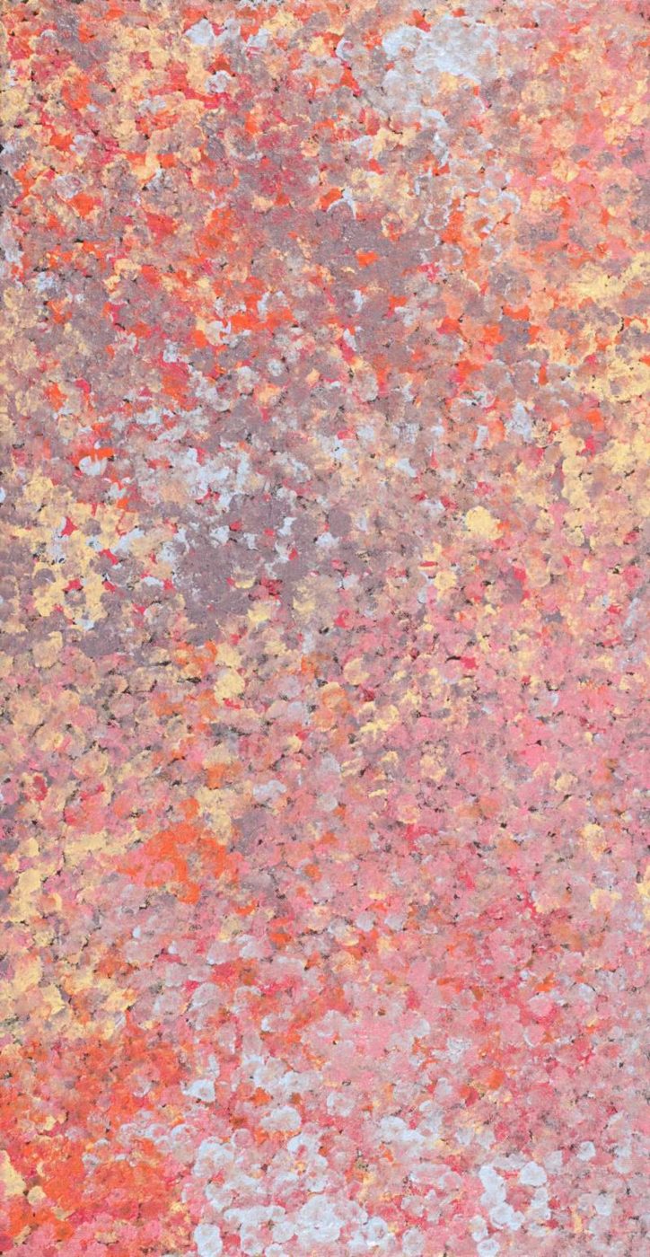 Wardapi Jukurrpa (Goanna Dreaming) - Yarripilangu by Ruth Nungarrayi Spencer