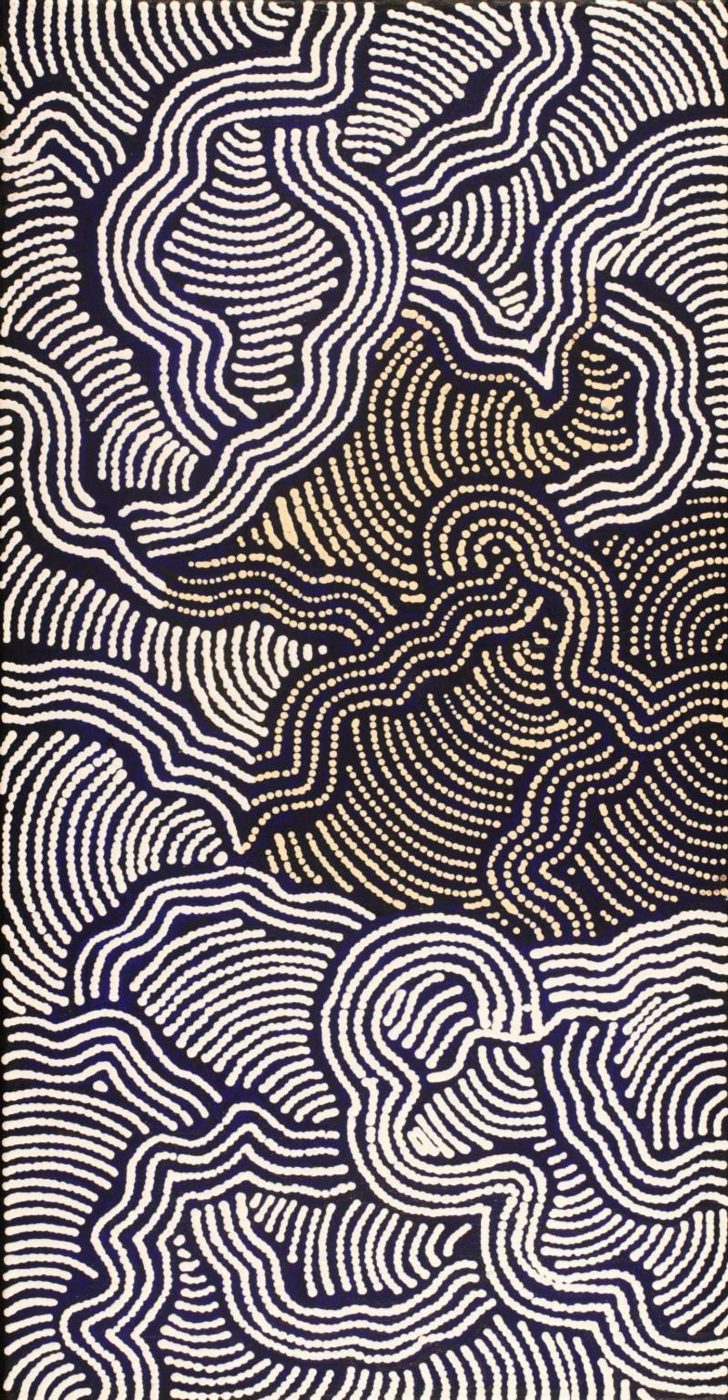Ngapa Jukurrpa (Water Dreaming) - Mikanji by Julie Napaljarri Dempsey