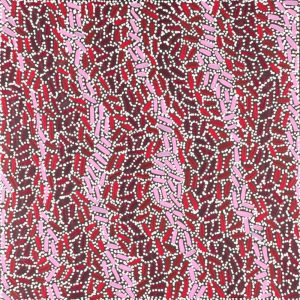 Warlukurlangu Jukurrpa (Fire country Dreaming) by Nathania Nangala Granites