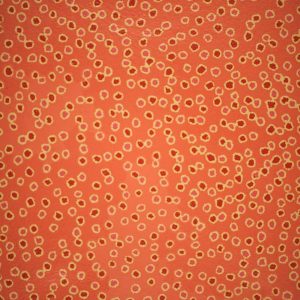 Mina Mina Jukurrpa (Mina Mina Dreaming) by Antoinette Napanangka Brown