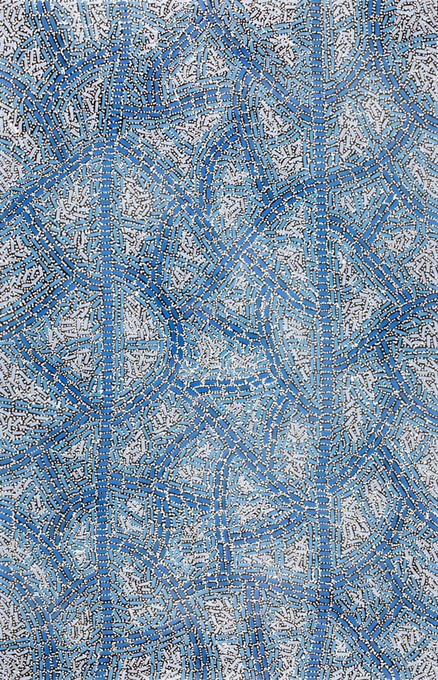 Warlukurlangu Jukurrpa (Fire country Dreaming) by Nathania Nangala Granites