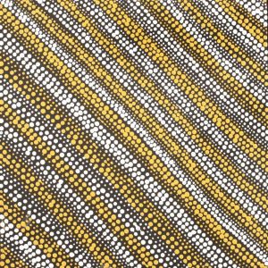 Mina Mina Jukurrpa (Mina Mina Dreaming) by Sabrina Napangardi Granites