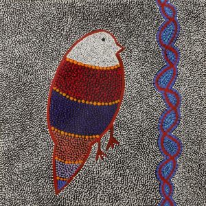 Ngalyipi Jukurrpa (Snakevine Dreaming) - Mina Mina by Geraldine Napangardi Granites