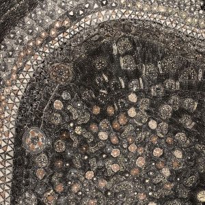 Lukarrara Jukurrpa (Desert Fringe-rush Seed Dreaming) by Hilda Nakamarra Rogers