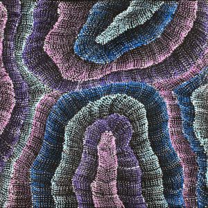 Wanakiji Jukurrpa (Bush Tomato Dreaming) by Debbie Napaljarri Brown