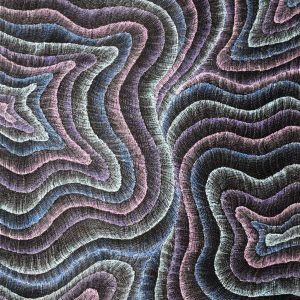 Wanakiji Jukurrpa (Bush Tomato Dreaming) by Debbie Napaljarri Brown