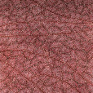 Warlukurlangu Jukurrpa (Fire country Dreaming) by Nathania Nangala Granites