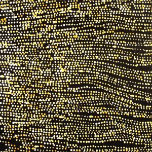 Mina Mina Jukurrpa (Mina Mina Dreaming) by Sabrina Napangardi Granites